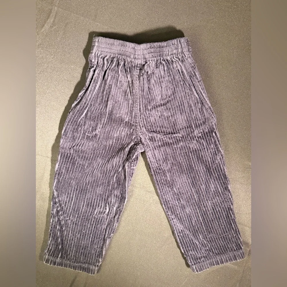 Striped Corduroy Pants Child 3T - Picture 2 of 5